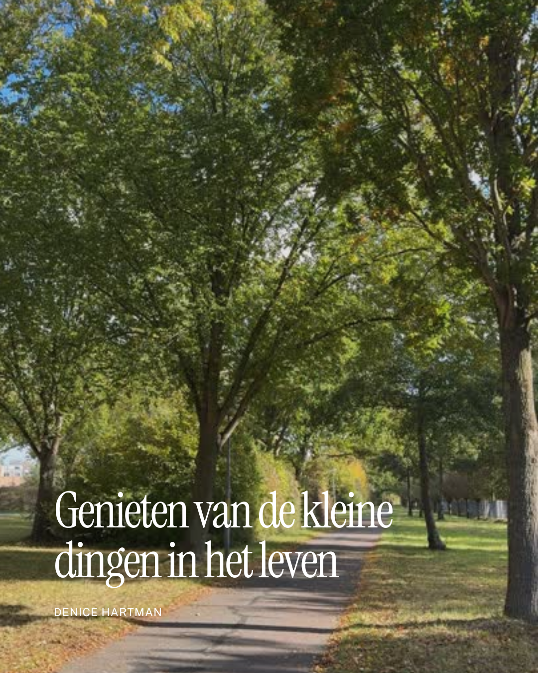 Genieten van de kleine dingen in het leven